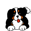chien17